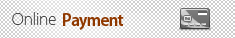 Online Payment